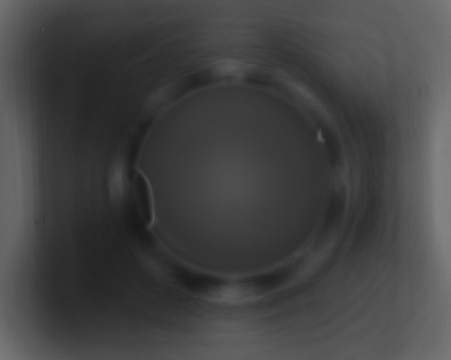 X0000101400504200807071221