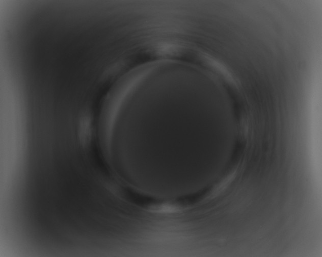 X0000101400506200807071221