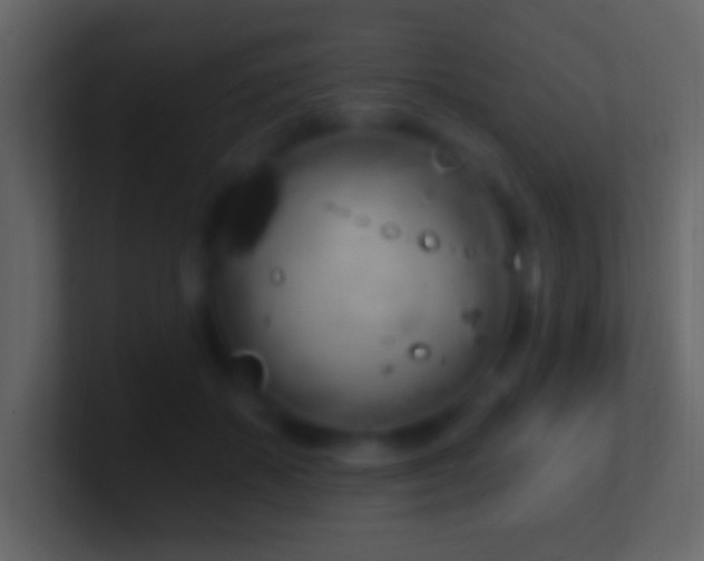 X0000101400507200807071221