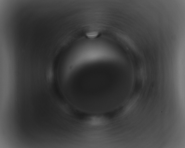 X0000101400508200807071221