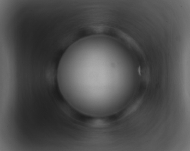 X0000101400509200807071221