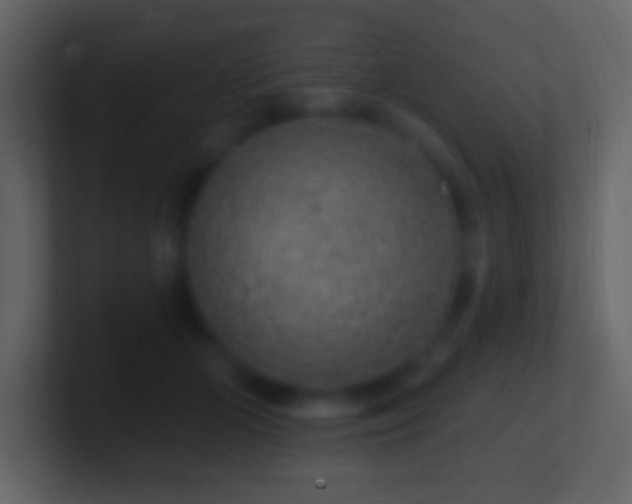 X0000101400510200807071221