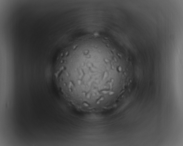 X0000101400511200807071221