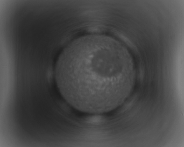 X0000101400513200807071221