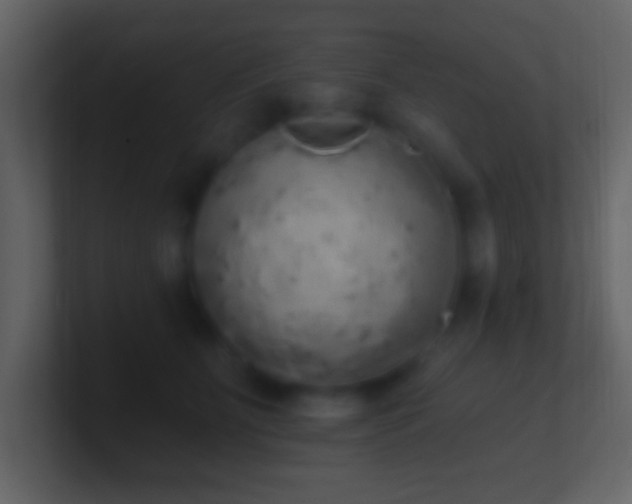 X0000101400515200807071221