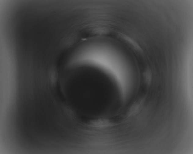 X0000101400517200807071221