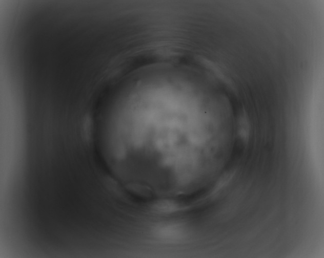 X0000101400519200807071221