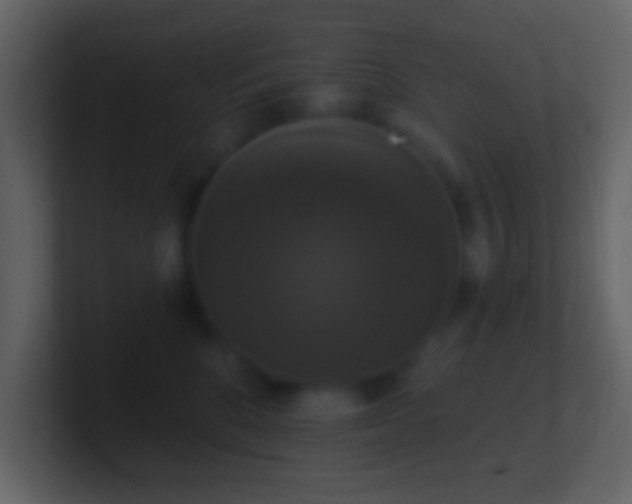 X0000101400520200807071221