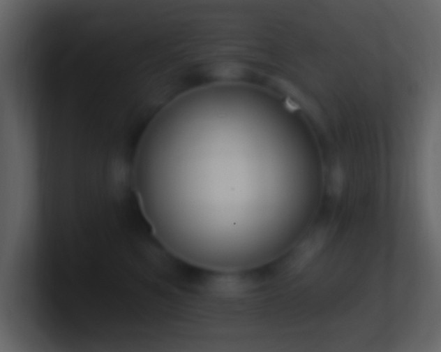 X0000101400521200807071221