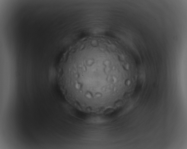 X0000101400523200807071221