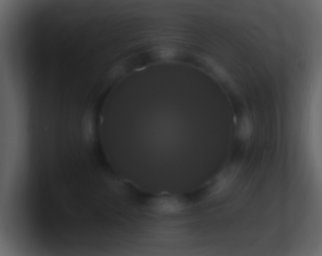 X0000101400524200807071221