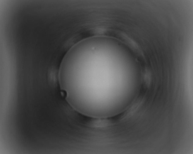 X0000101400525200807071221