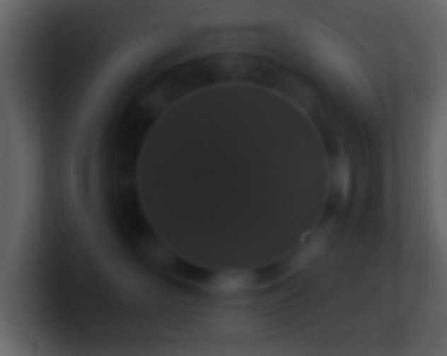 X0000101400526200807071221