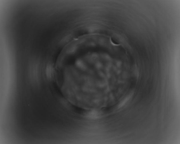 X0000101400527200807071221