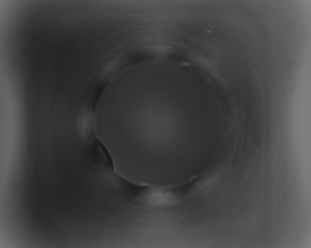 X0000101400528200807071221