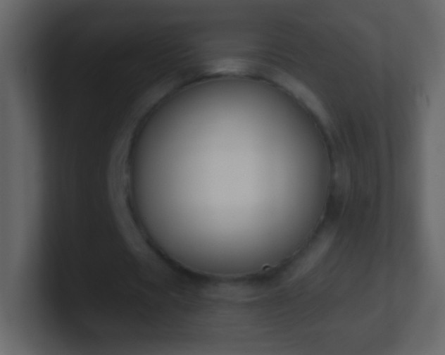 X0000101400529200807071220