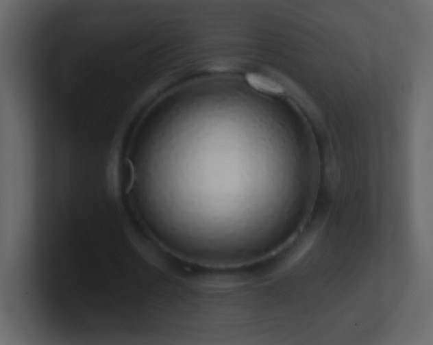 X0000101400530200807071220