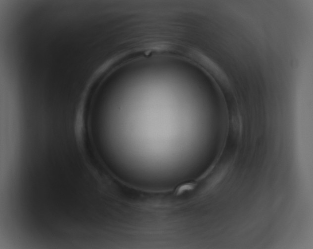X0000101400532200807071220