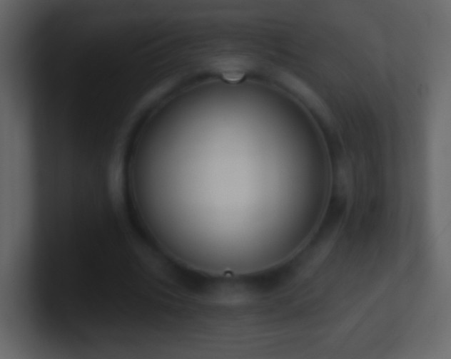 X0000101400535200807071221