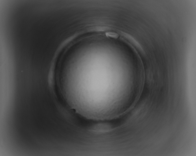 X0000101400536200807071221