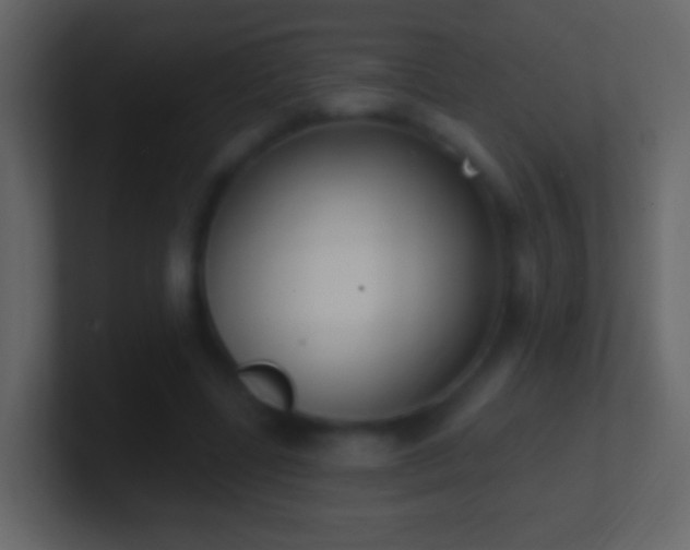 X0000101400539200807071221