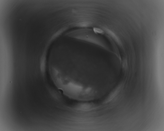 X0000101400540200807071221