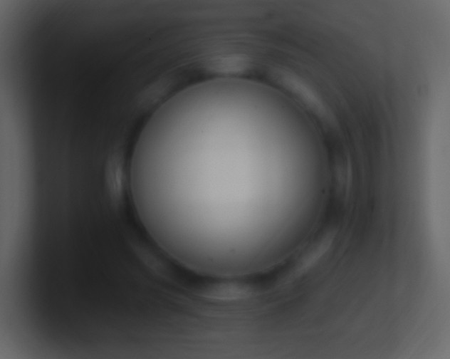 X0000101400541200807071221