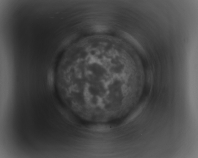 X0000101400542200807071221