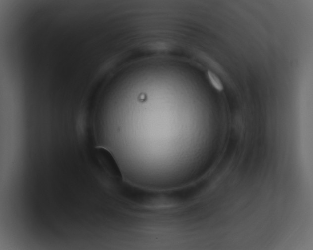 X0000101400544200807071221