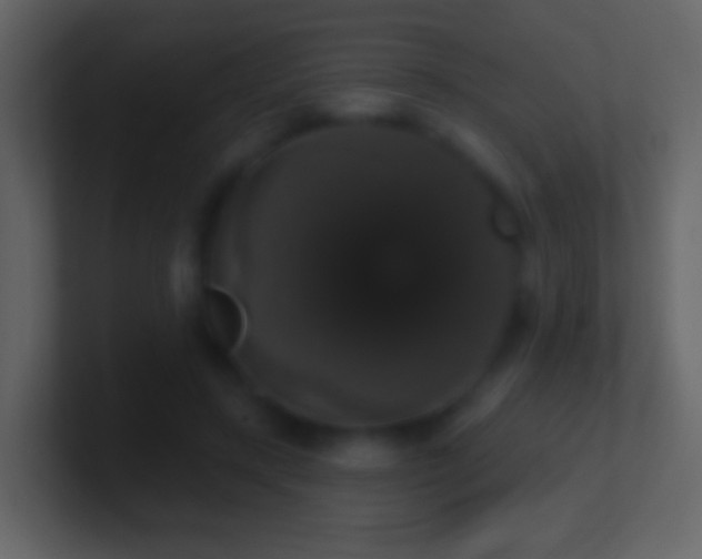 X0000101400547200807071221