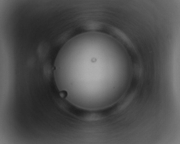 X0000101400549200807071221