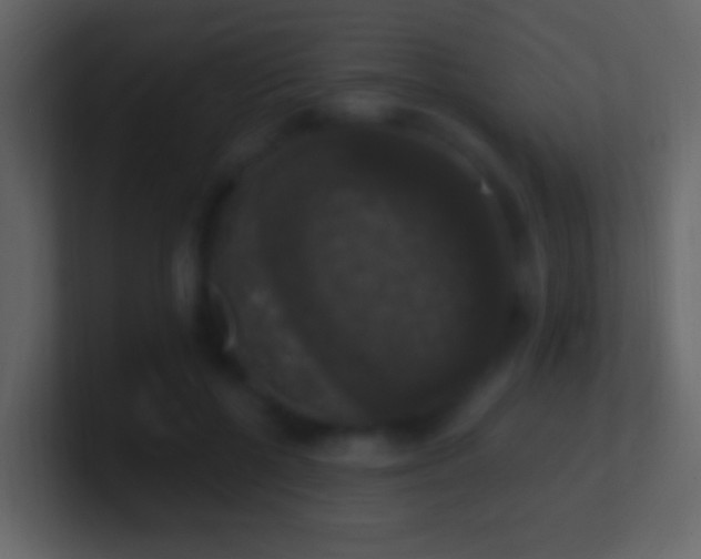 X0000101400552200807071221