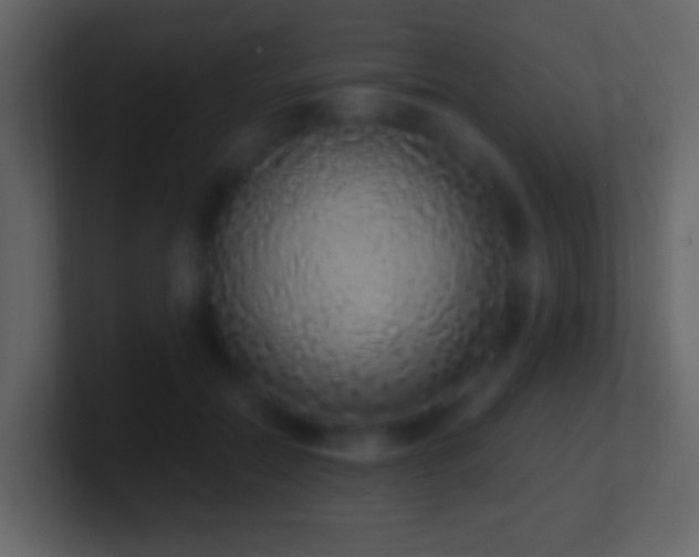 X0000101400554200807071221