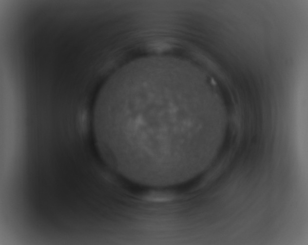 X0000101400556200807071221