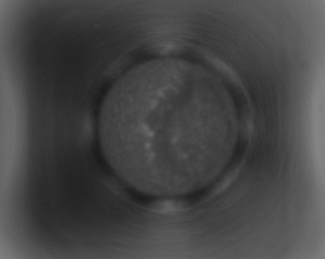 X0000101400558200807071221