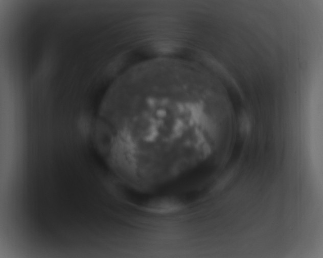 X0000101400559200807071221