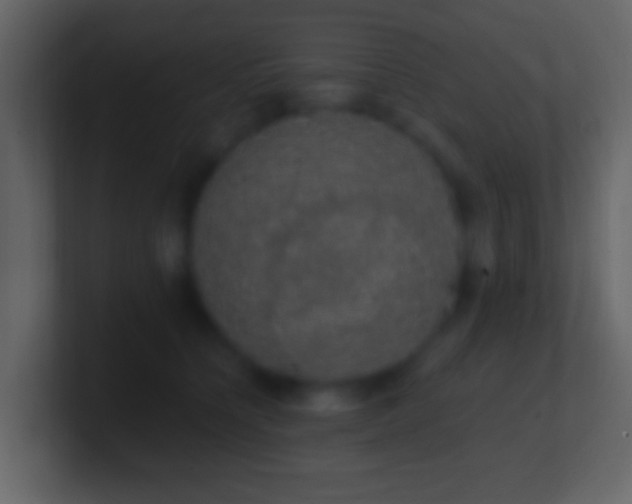 X0000101400564200807071221