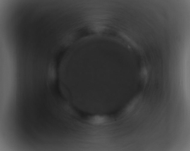 X0000101400566200807071221