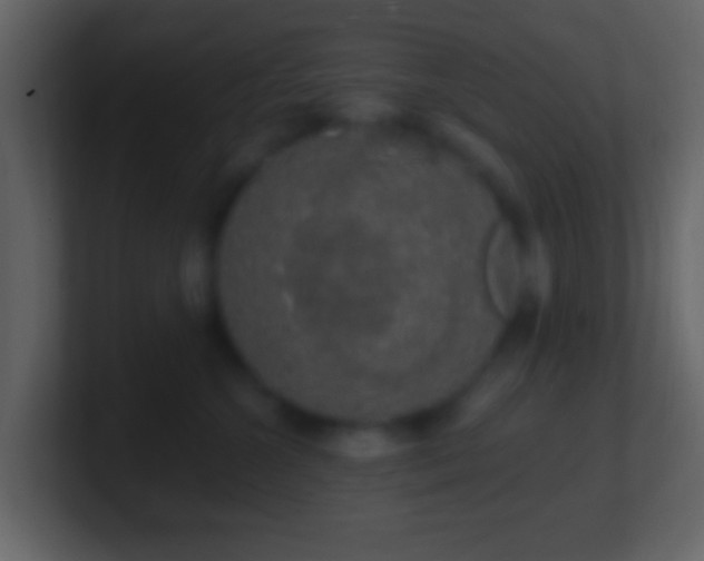 X0000101400572200807071221