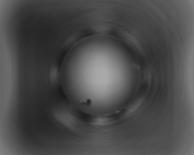 X0000101400575200807071221