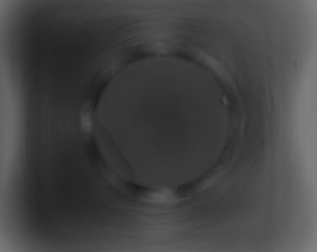 X0000101400576200807071221