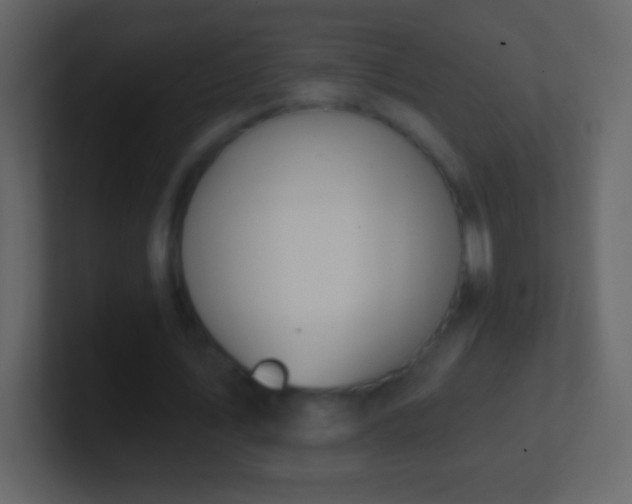 X0000101400579200807071220