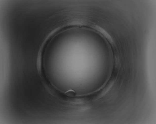 X0000101400580200807071220