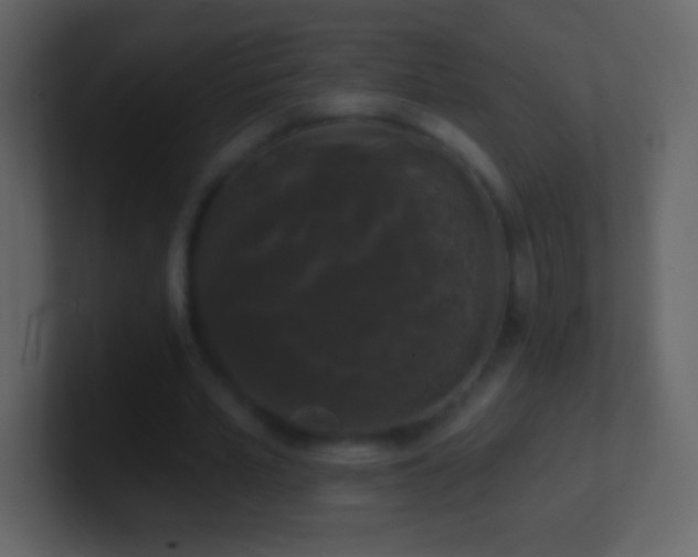 X0000101400581200807071220