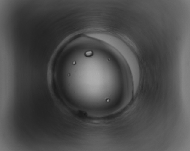 X0000101400584200807071220