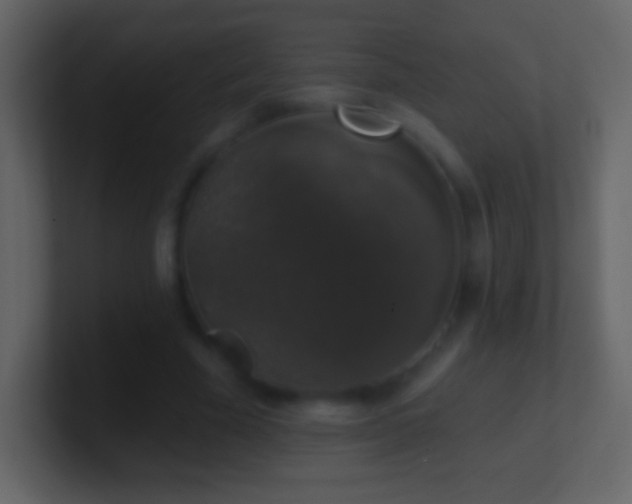 X0000101400585200807071220