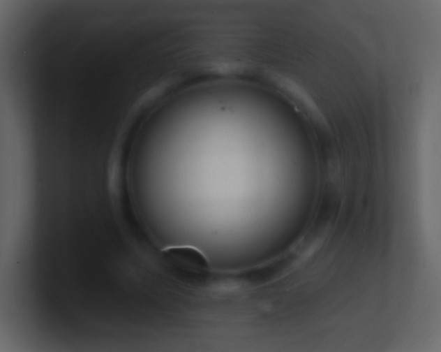 X0000101400587200807071220