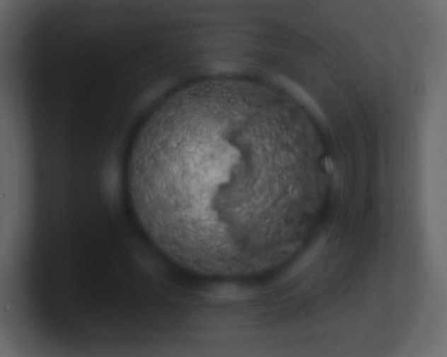 X0000101400588200807071220