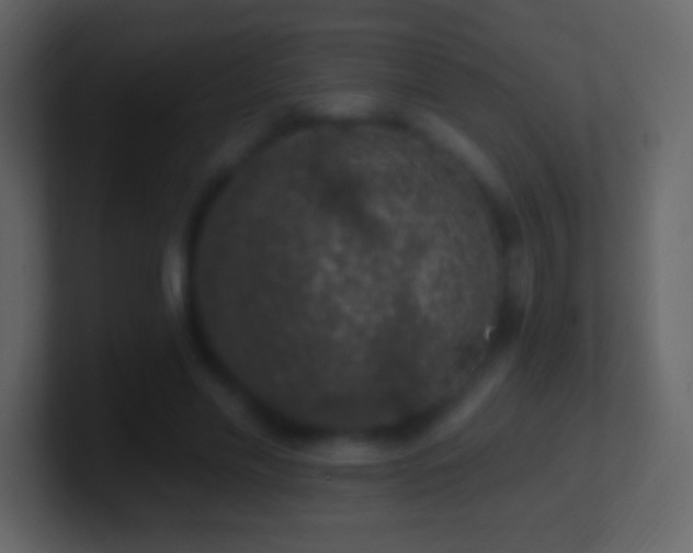 X0000101400589200807071220