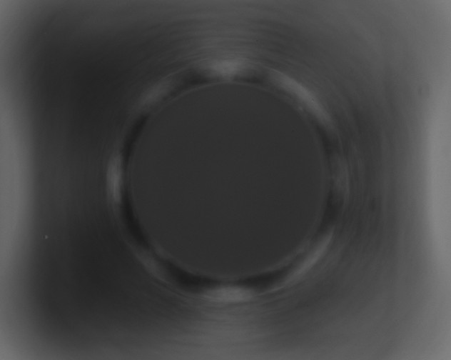 X0000101400590200807071220